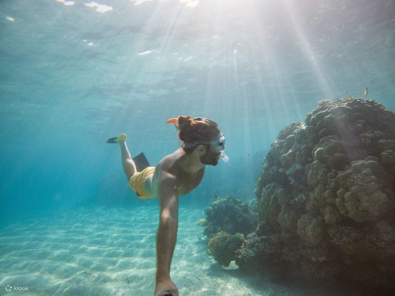 Coral Garden Schnorchelausflug & Schnuppertauchen mit Transfer - Marsa Alam