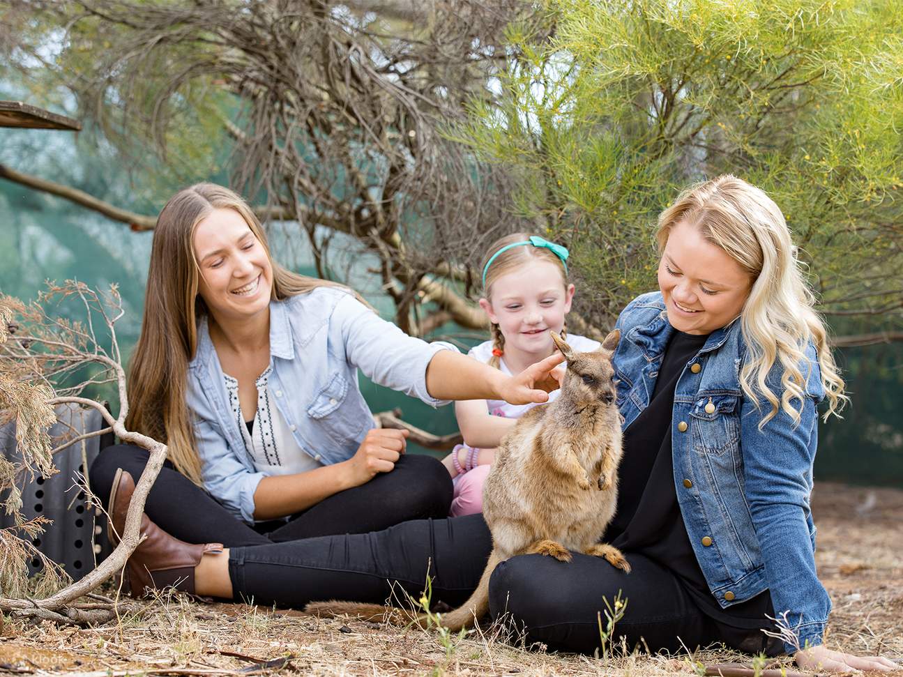 Pengalaman Orang Asli yang Nakal di Monarto Safari Park