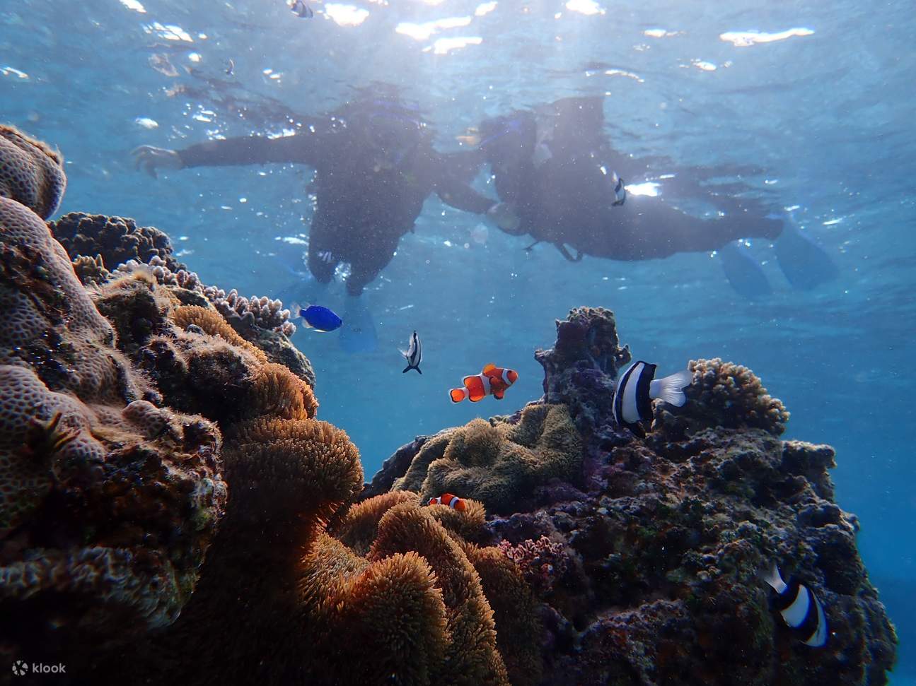 SUP/каноэ и опыт подводного плавания