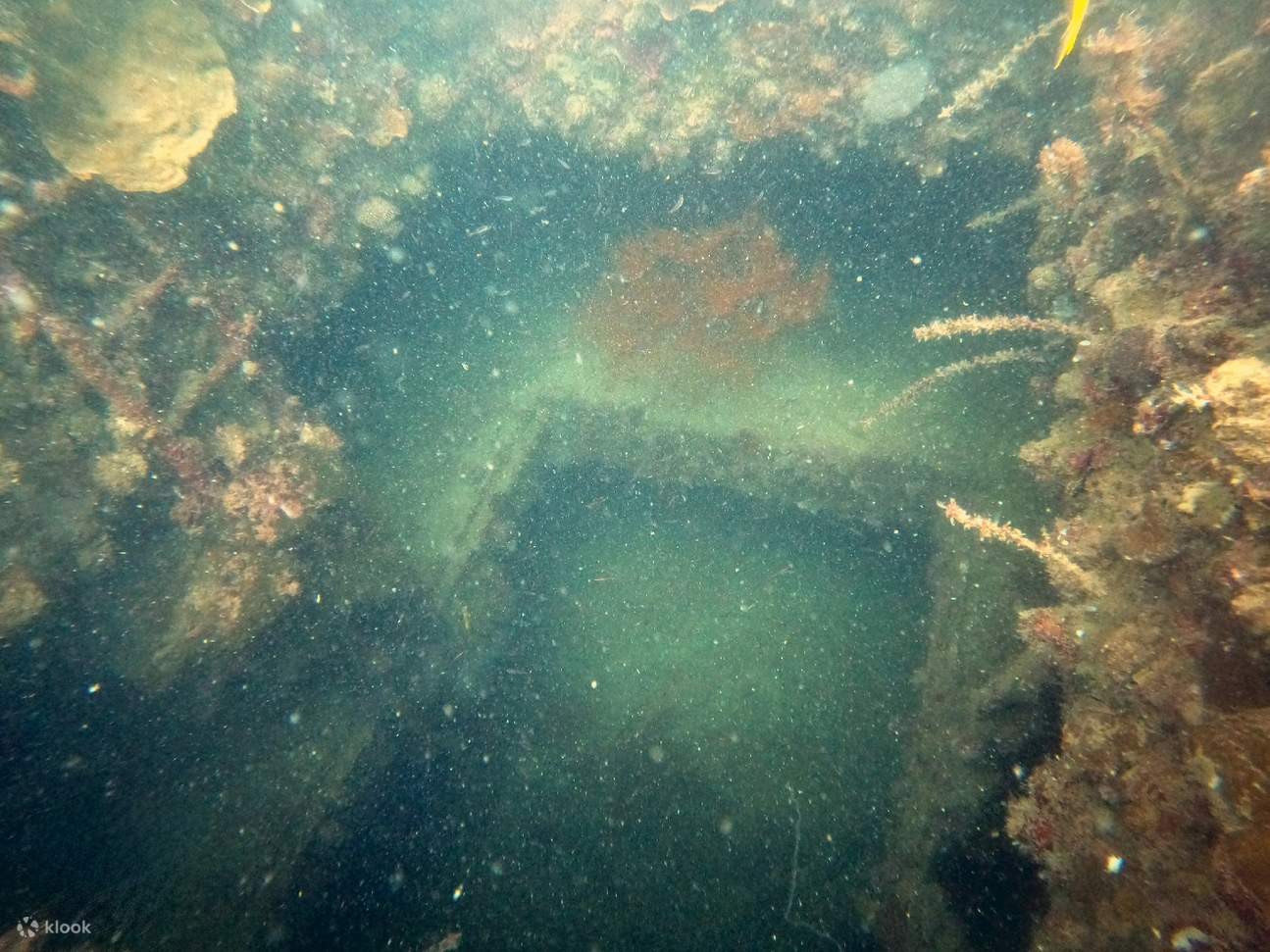 Explore Coron #39 s Depths: PADI Advanced Open Water Dive with a PADI 5