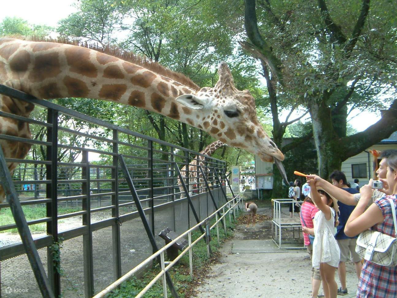Up to 15% Off | Book a ticket to Utsunomiya Zoo and Amusement Park - Klook  Philippines