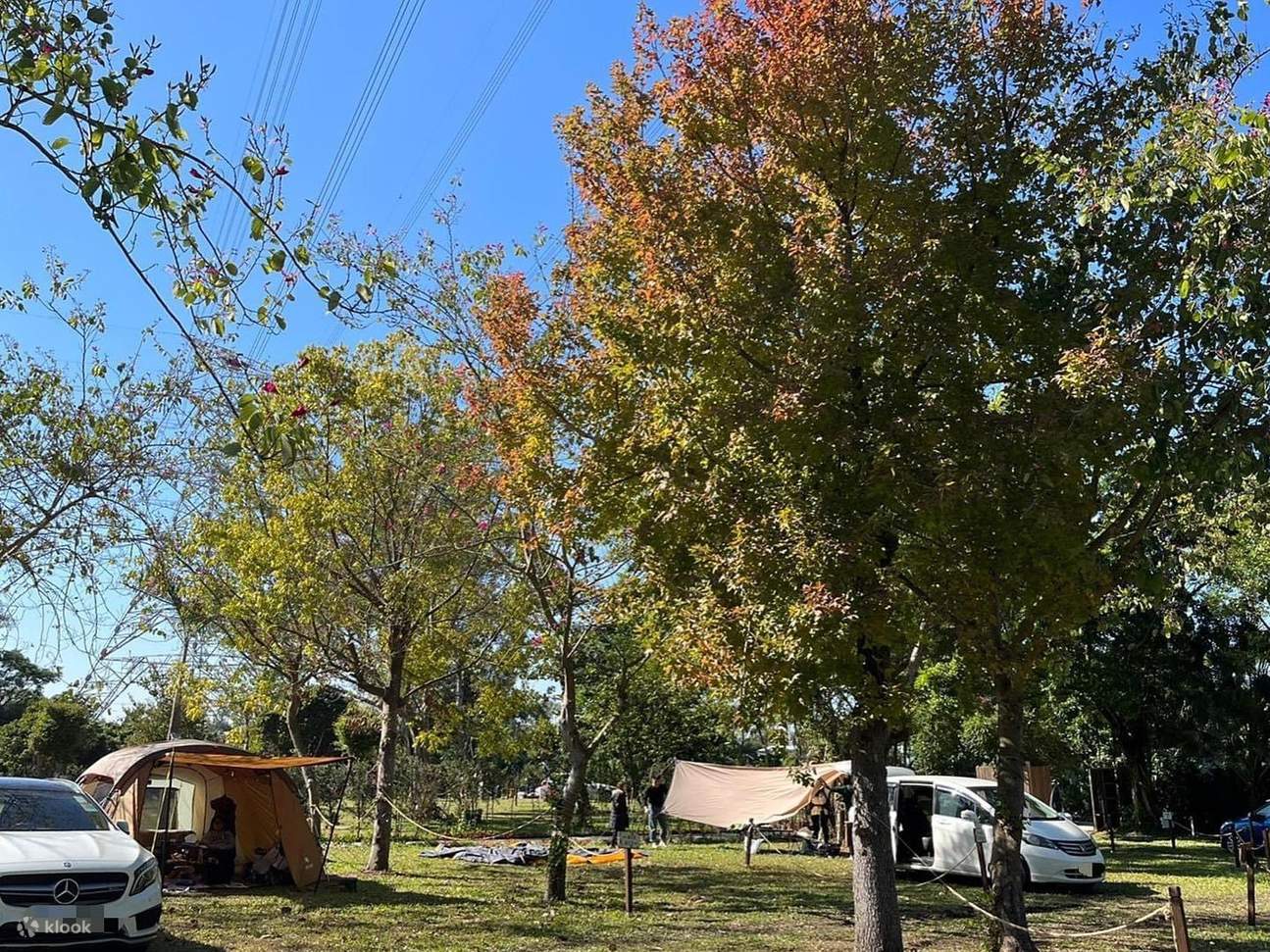 Private camping experience in the farm in the mountains and forests