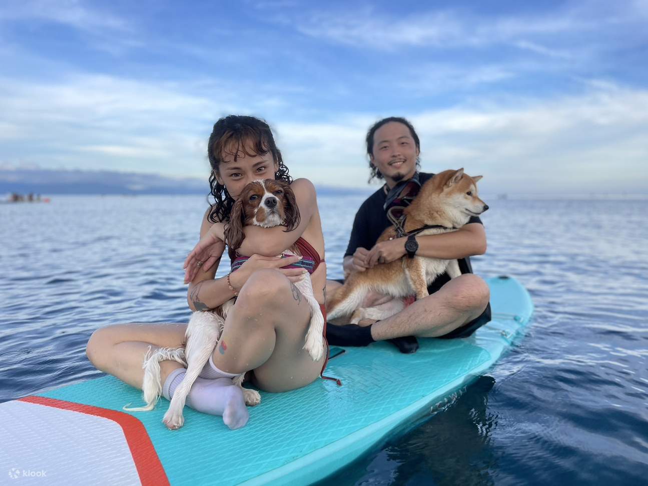 Burbuja de viaje ligero