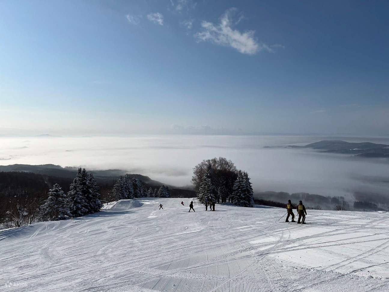 Однодневный лыжный тур в Пиппу, где можно насладиться самым северным пушистым снегом (в сопровождении англо- или китайскоязычного гида)