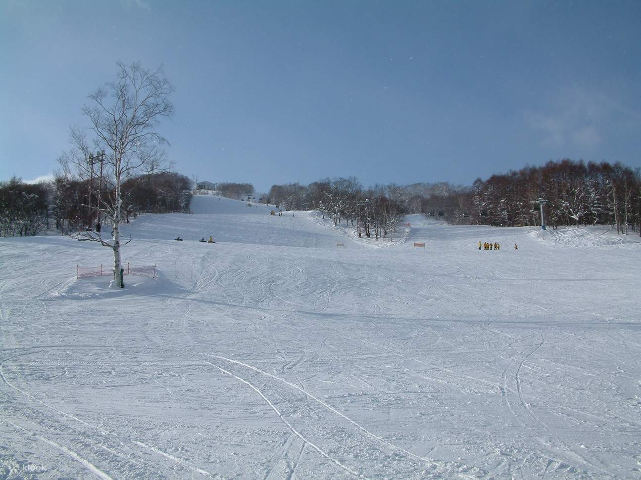 家庭滑雪者到专业滑雪者