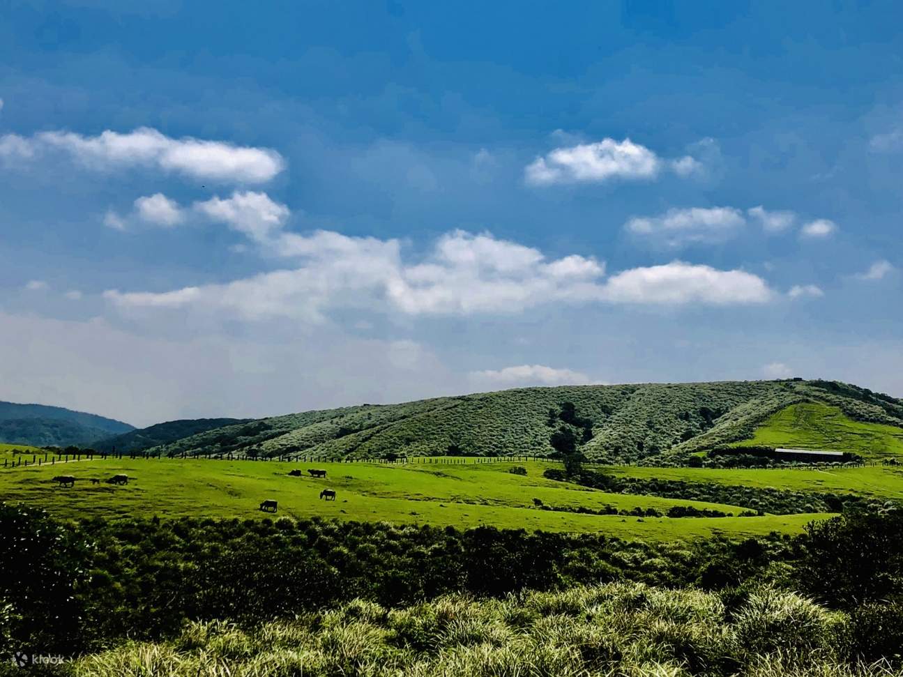 qingtiangang grassland yangmingshan private car charter