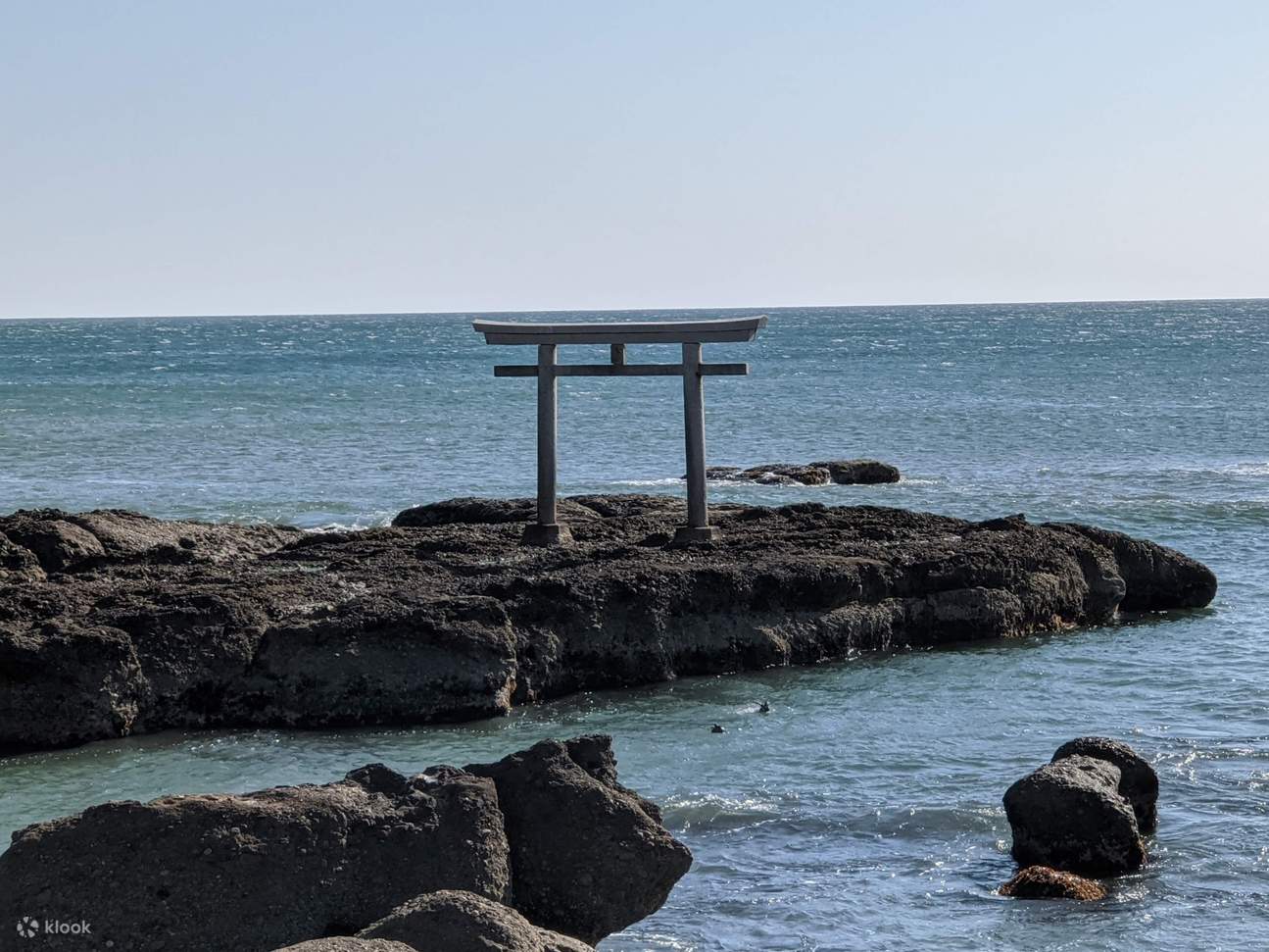 東京発 大洗磯前神社と国営ひたち海浜公園の日帰りバスツアー | Klook