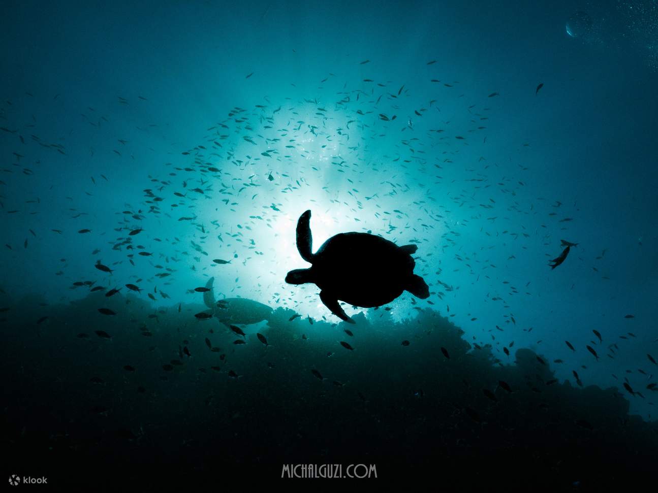 PADI Discover Scuba Diving