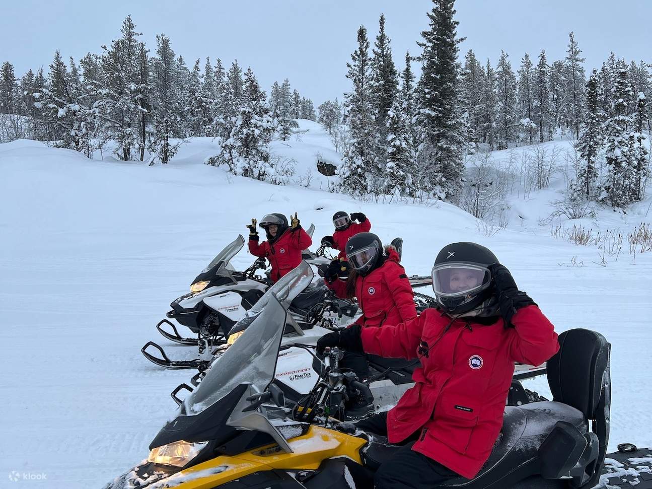 Pengalaman Musim Sejuk Aurora dengan Kereta Salji