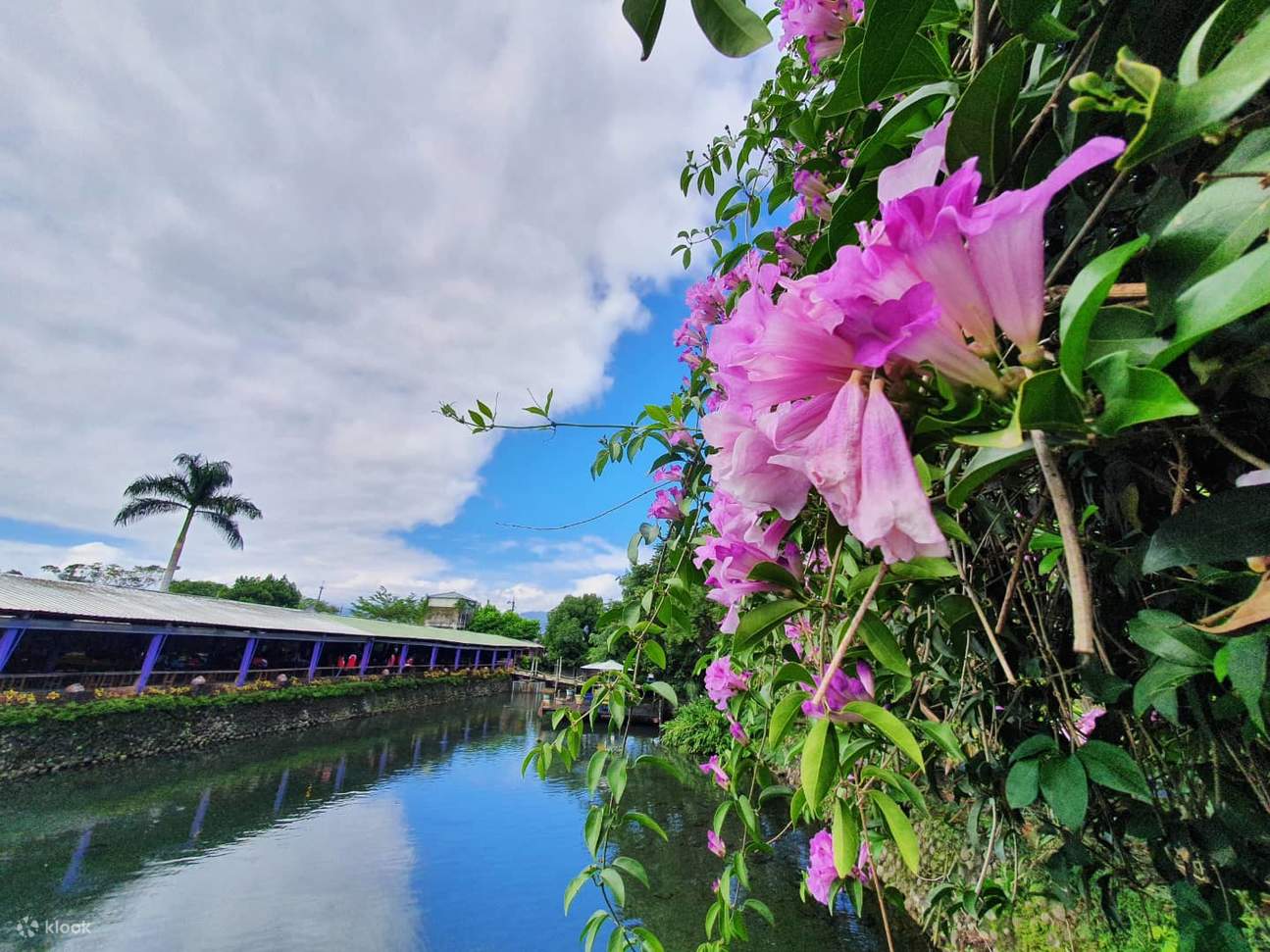 Guangxing Leisure Farm