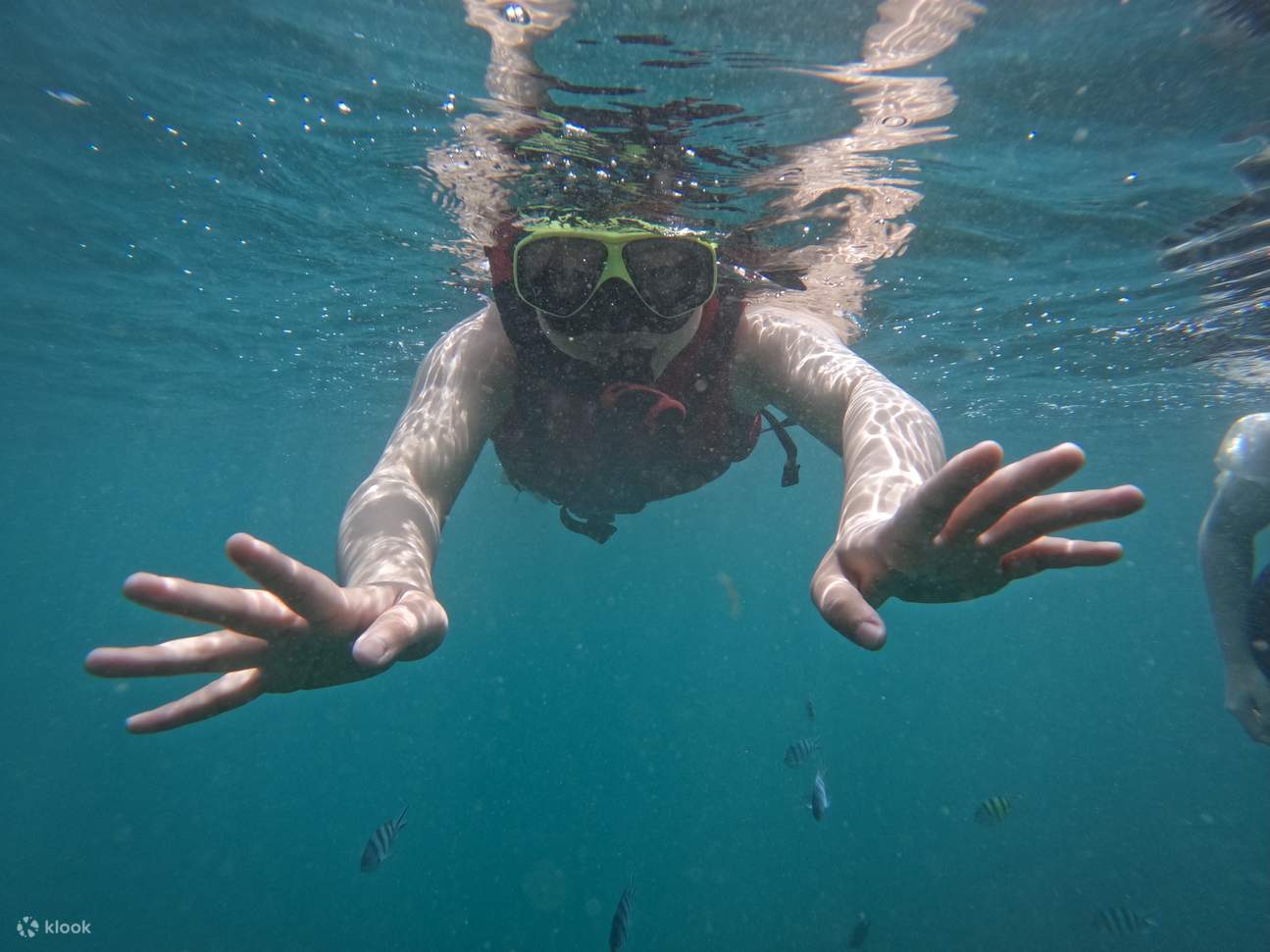 Esperienza di Snorkeling a Nusa Dua Bali