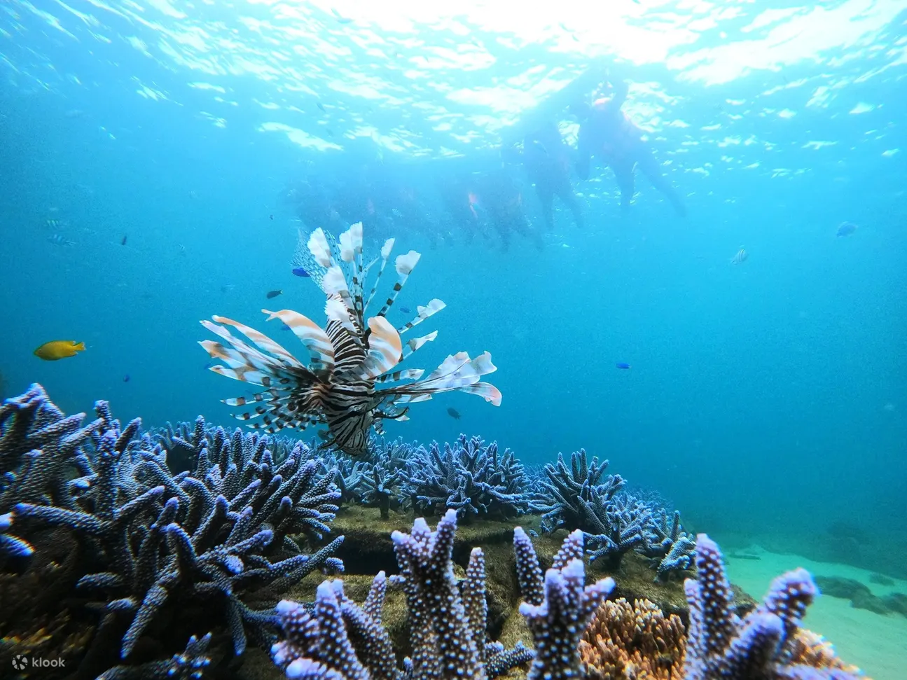 澎湖浮潜: 乐福海洋海底邮筒浮潜・SUP体验