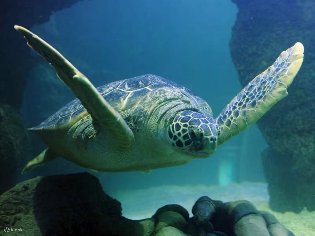 Отличное занятие для дождливых дней или семейных поездок на выходные