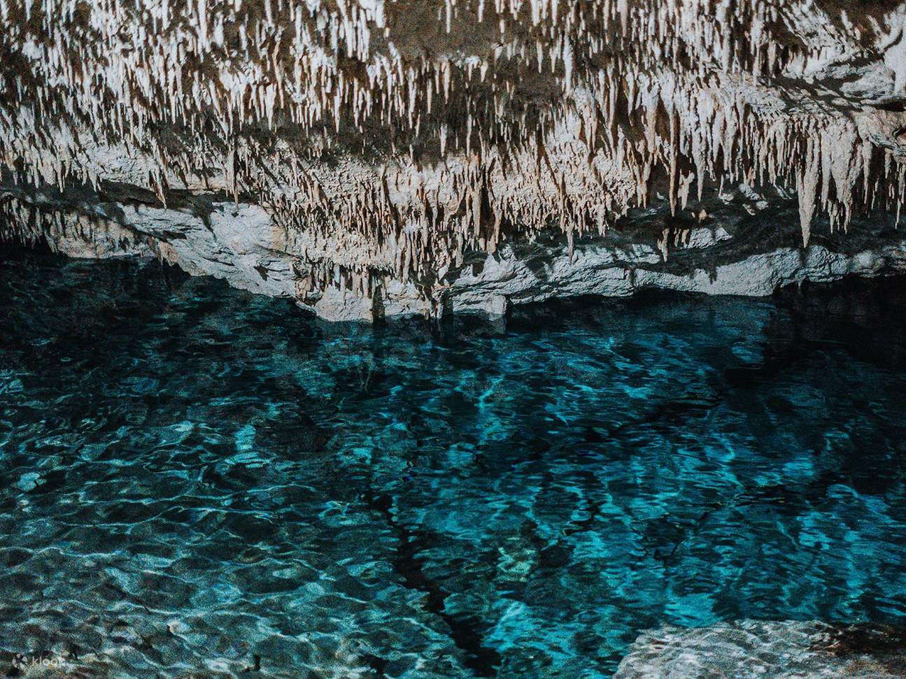Berenanglah di perairan cenote berwarna biru kehijauan yang dikelilingi oleh dinding batu kapur yang menjulang tinggi