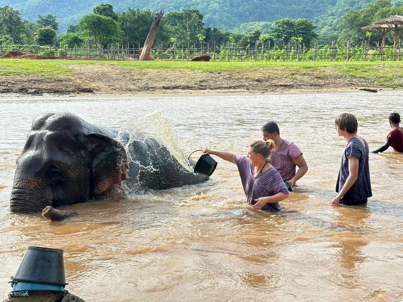 Scrub a dub with the cutest giants in the jungle!