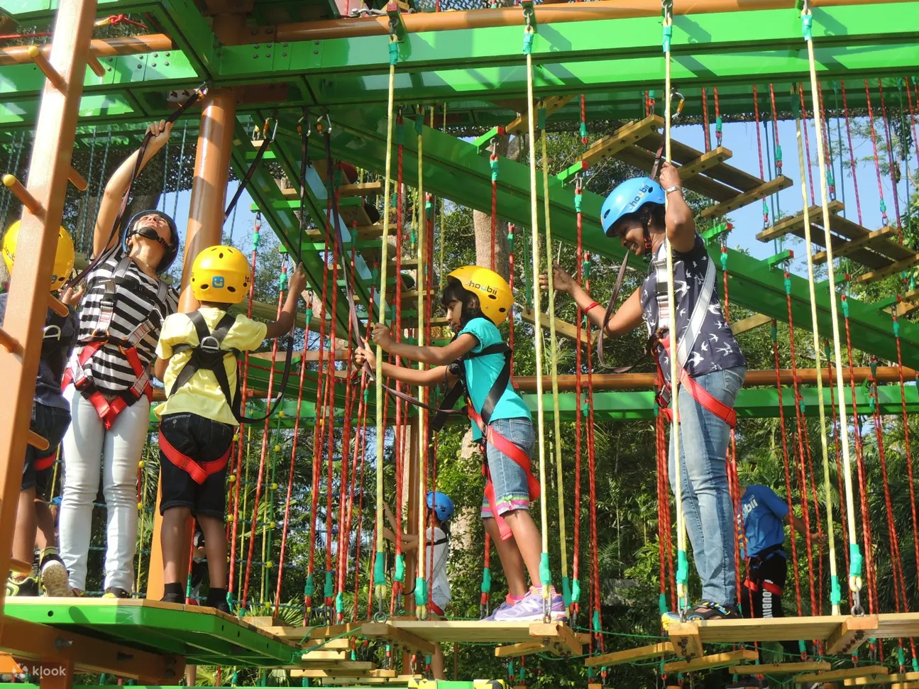 Safety is ensured as harnesses are clipped on at all times
