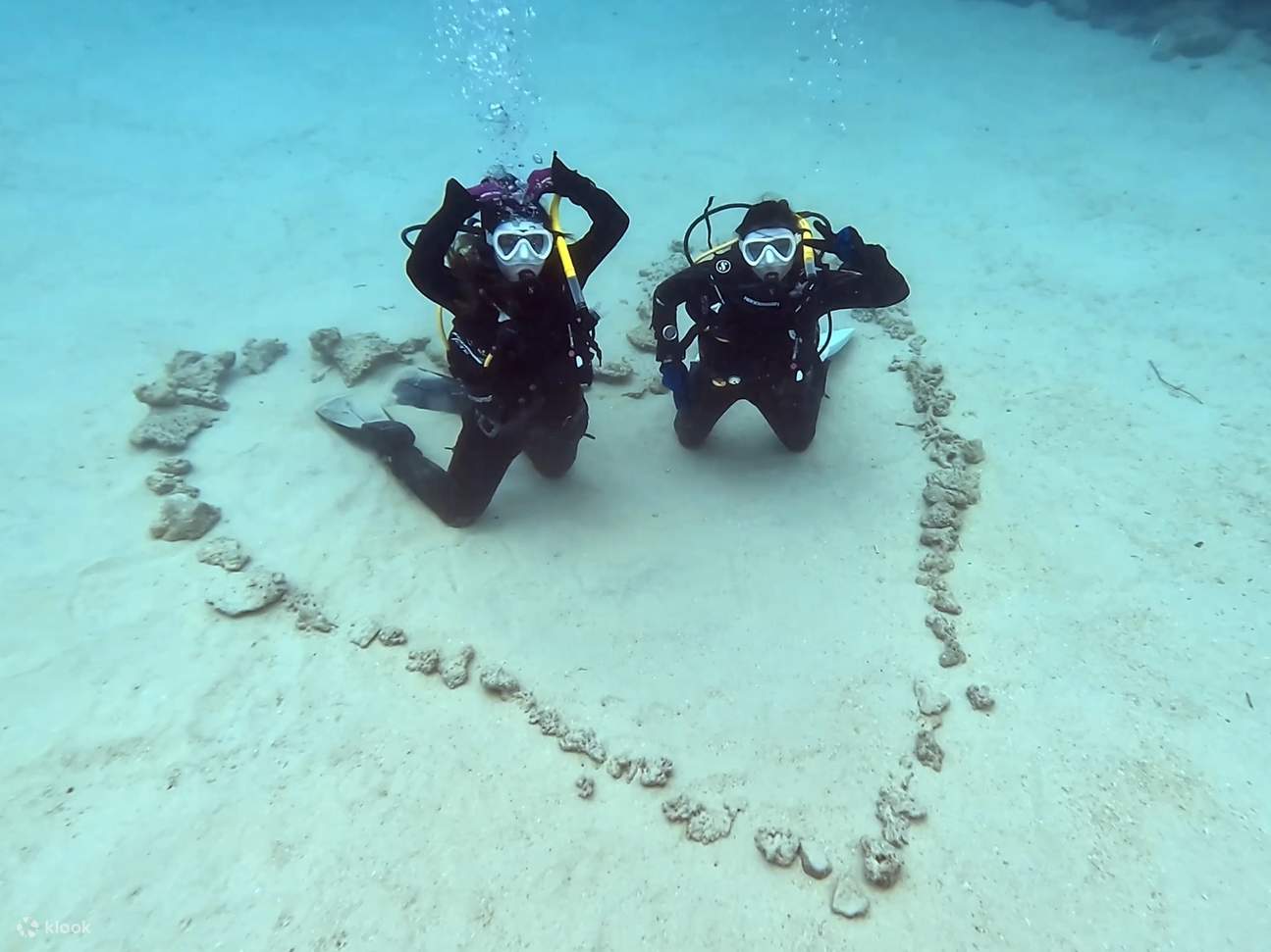 Okinawa・Nördlicher Teil｜Schnorcheln・Zertifiziertes Tauchen・Erlebnistauchen｜Gorilla Bay｜Kantonesisch sprechender Tauchlehrer｜Kostenlose GoPro-Videoaufnahmen｜Genießen Sie das Okinawa Churaumi｜In der Nähe des Churaumi Aquariums