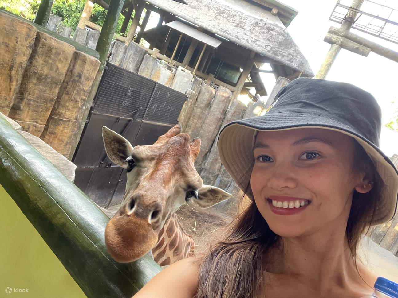 girl with giraffe in avilon zoo