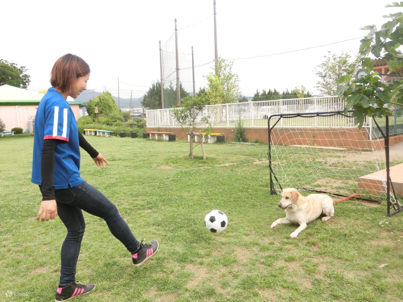 wanwanさまの御予約です wanwan_english 👈フレーズ集がダウンロードできます📚 例文