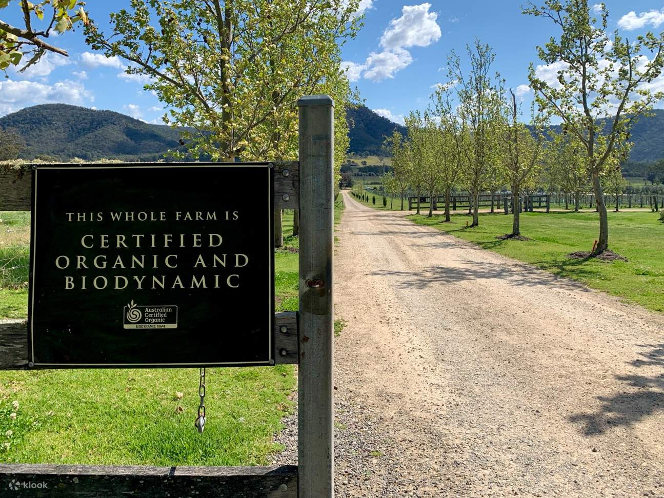 ชิมไวน์ออร์แกนิก