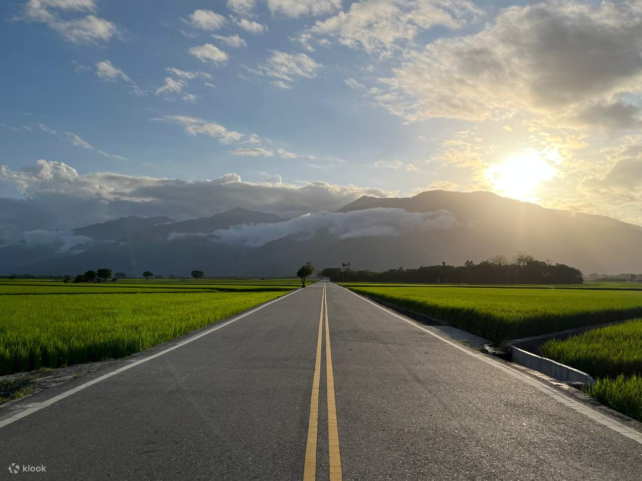 Penyewaan Sepeda Ikegami Brown Avenue