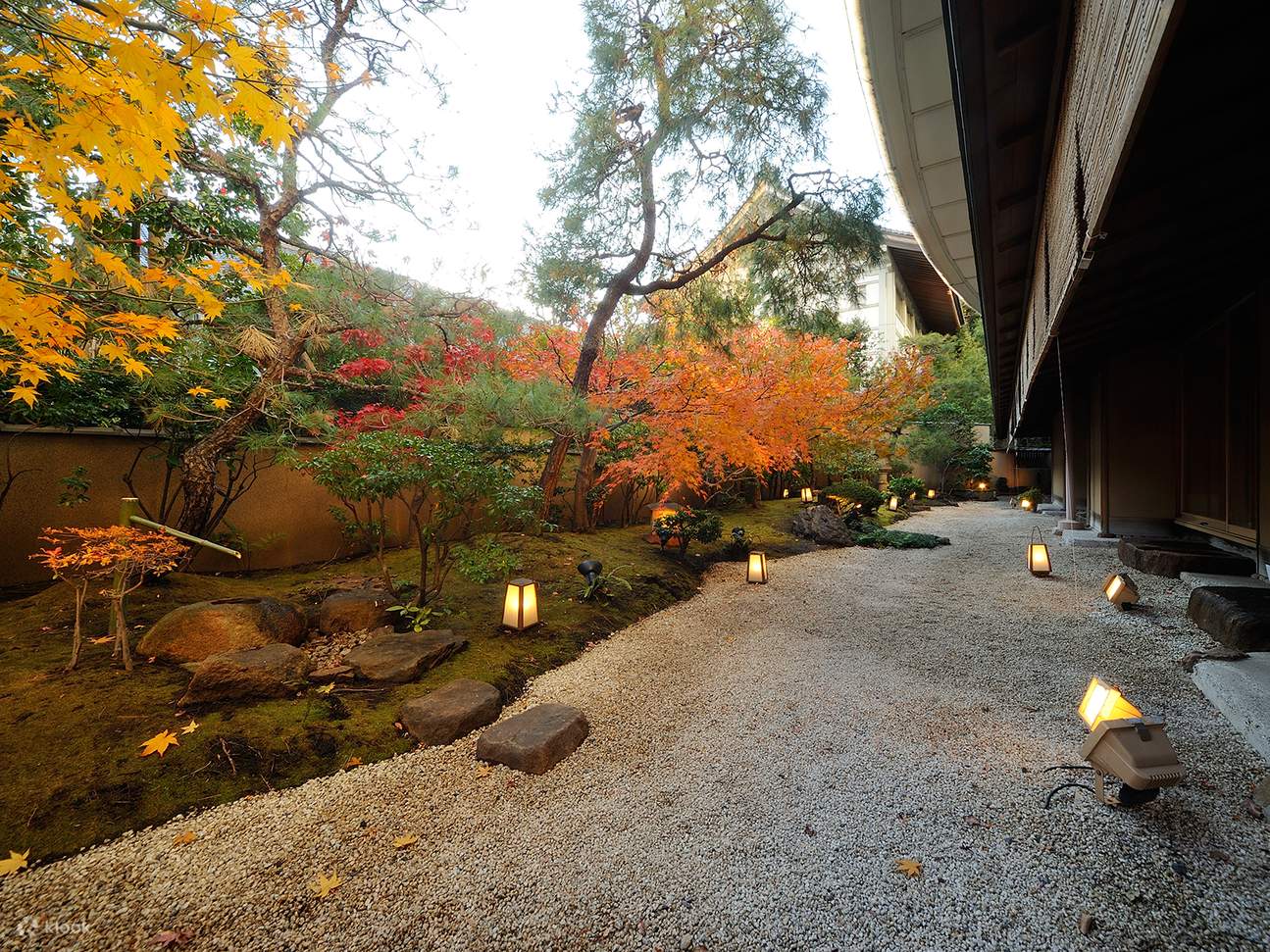 【米其林二星精進料理】- 醍醐 Daigo  - 東京