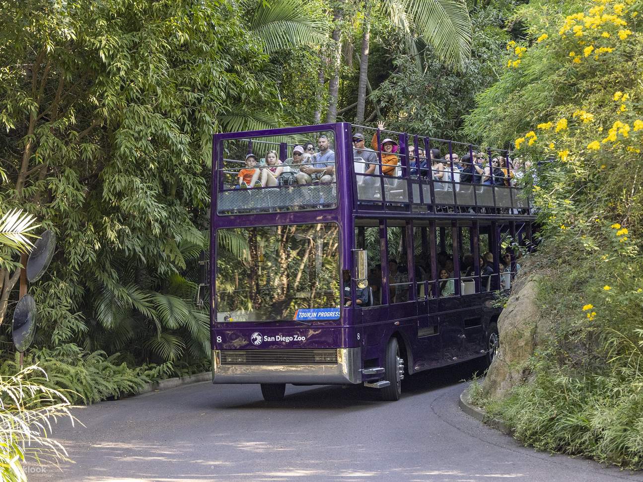 圣地牙哥动物园 - 游园导览巴士之旅