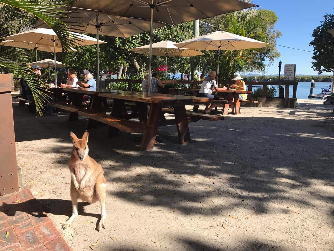 Experiencia en Moto de Agua en Australia