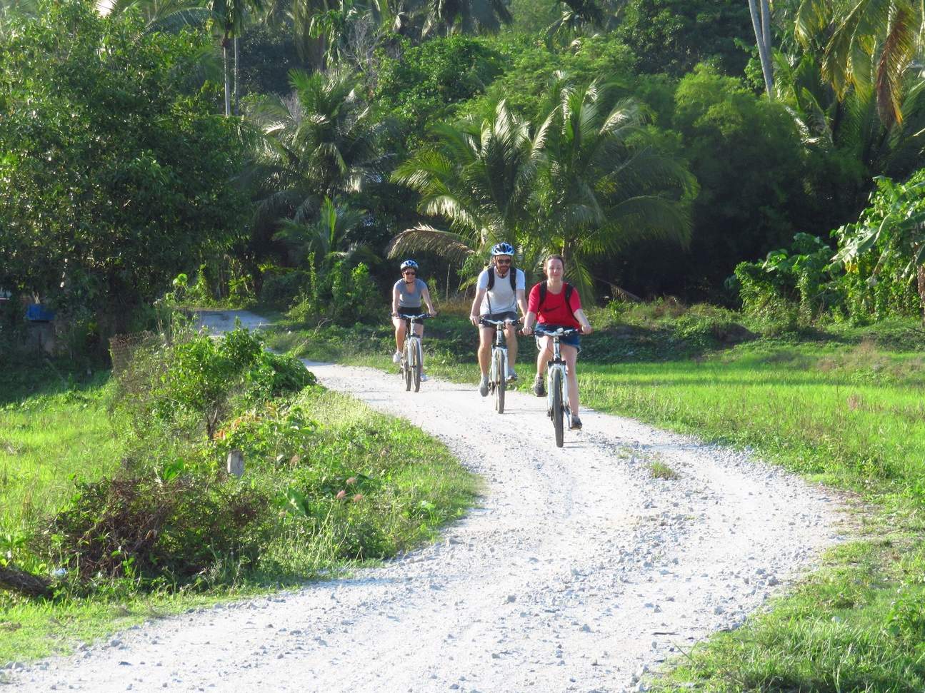 Cultural Cycling Experience With Transfers in Langkawi Klook Australia