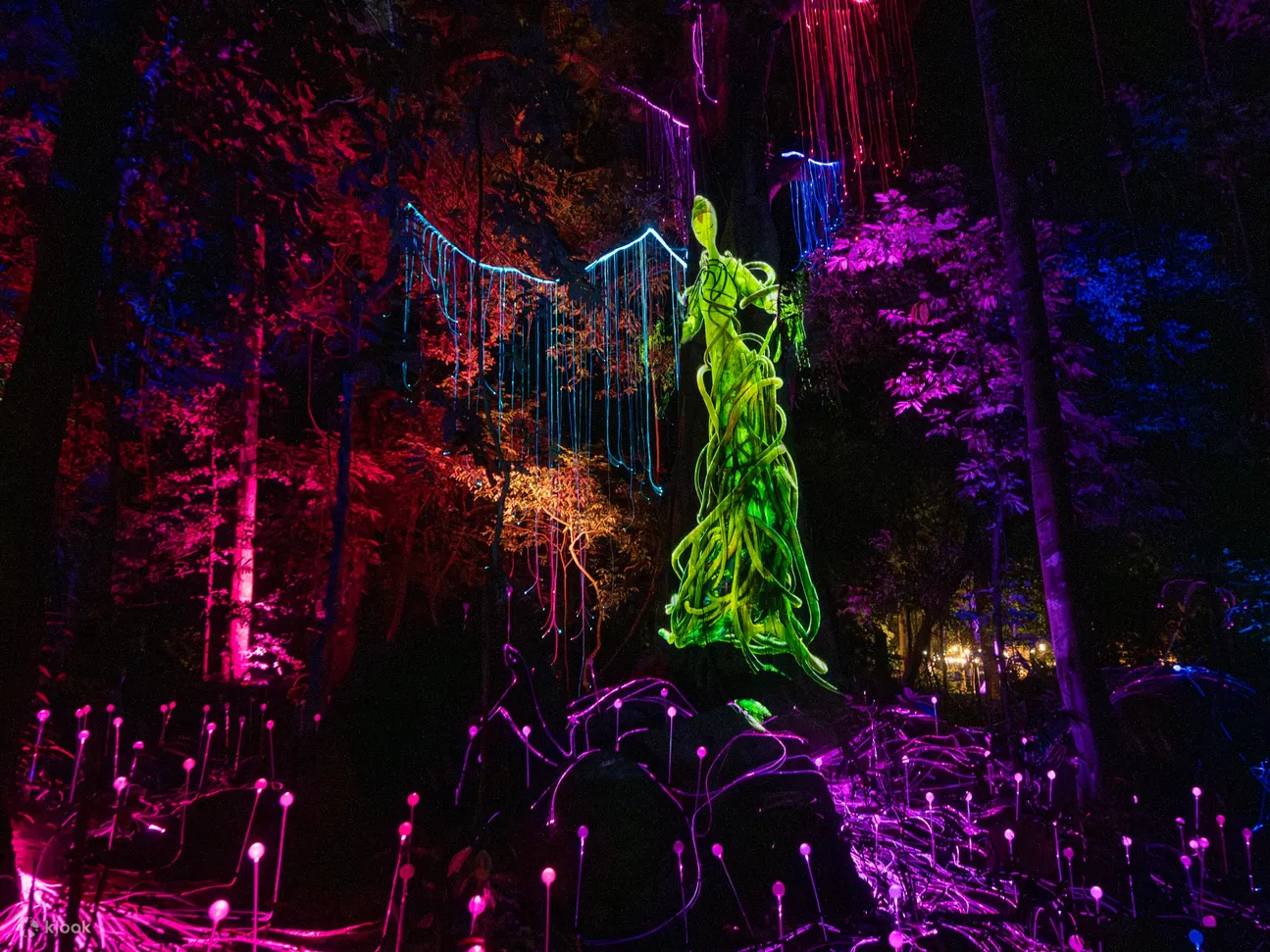 兰卡威梦幻森林门票