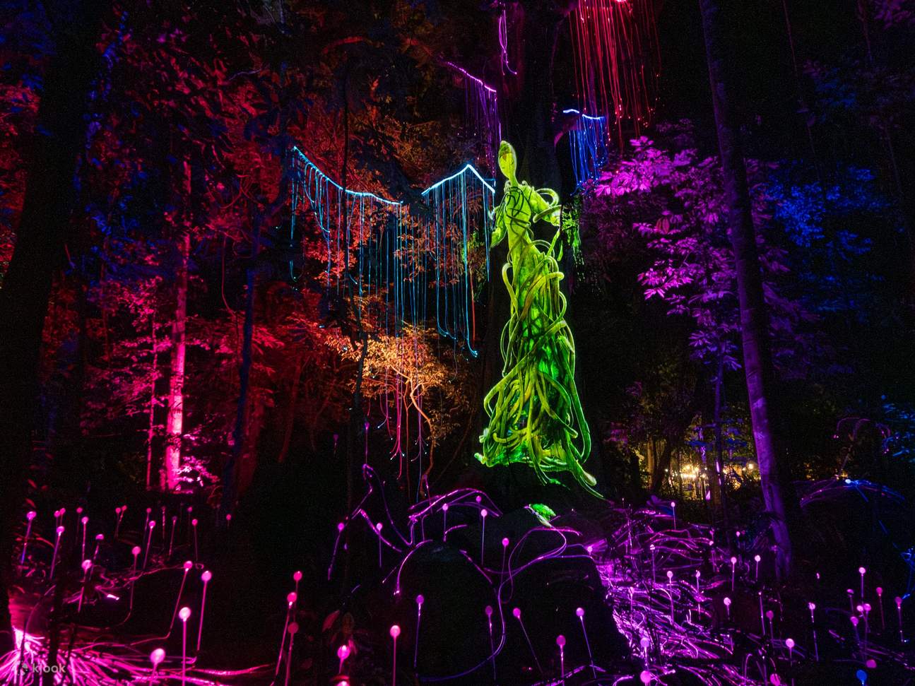 랑카위 드림 포레스트 티켓