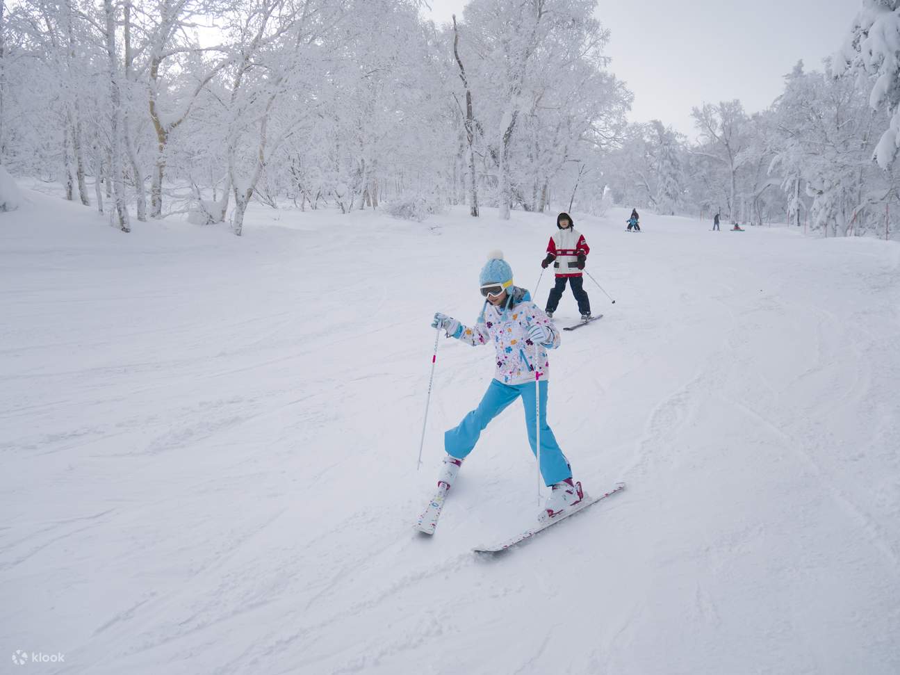 Jurulatih Ski Persendirian dan Perkhidmatan Fotografi Ski Bahasa Inggeris dan Cina di Furano Ski Resort