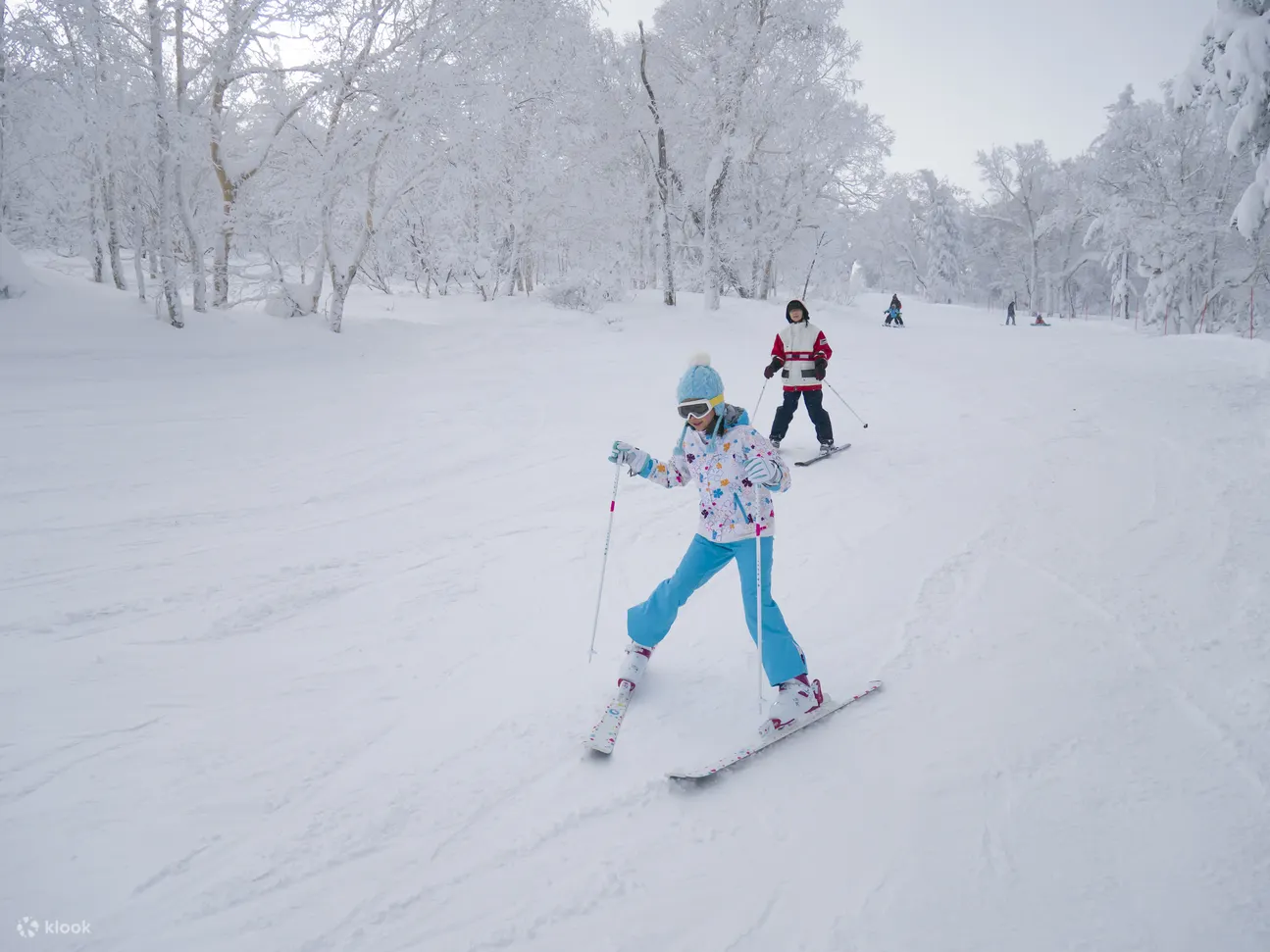 富良野滑雪场中英文私人滑雪教练及摄影服务
