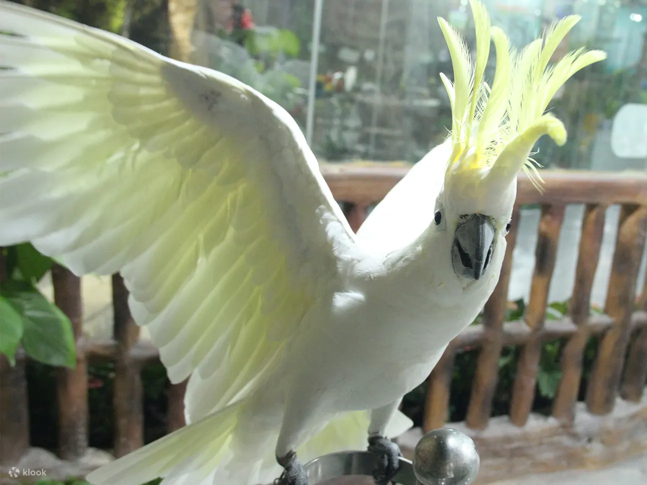 動物樂園