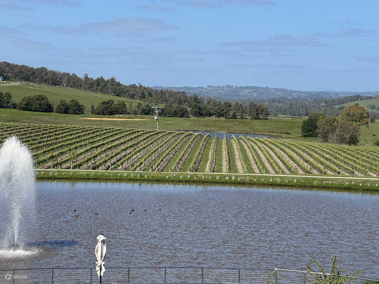 Weinproben-Touren im Yarra Valley ab Melbourne