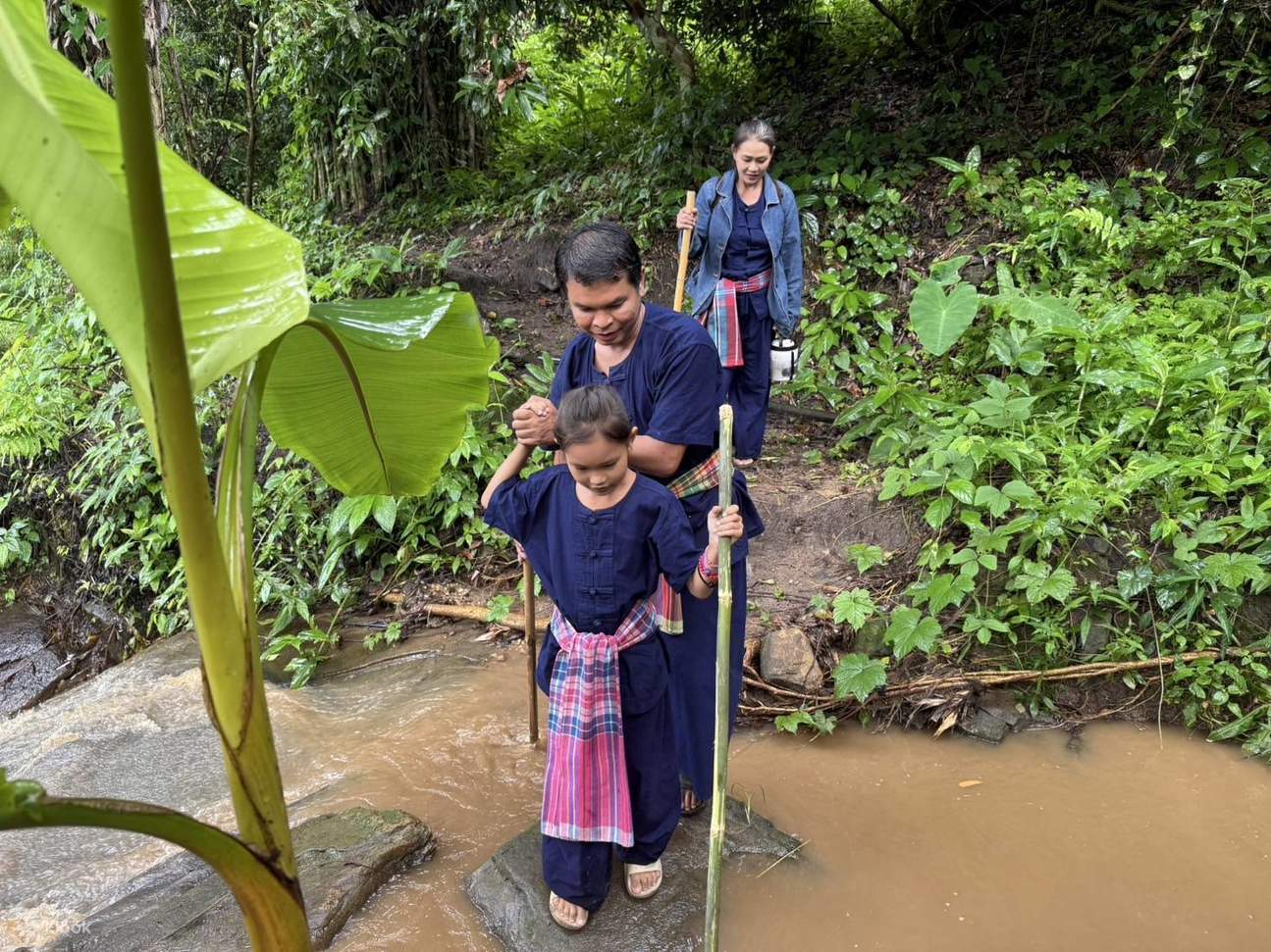Penerokaan Kehidupan Ladang Setengah/Sehari Penuh Dari Tanah ke Meja