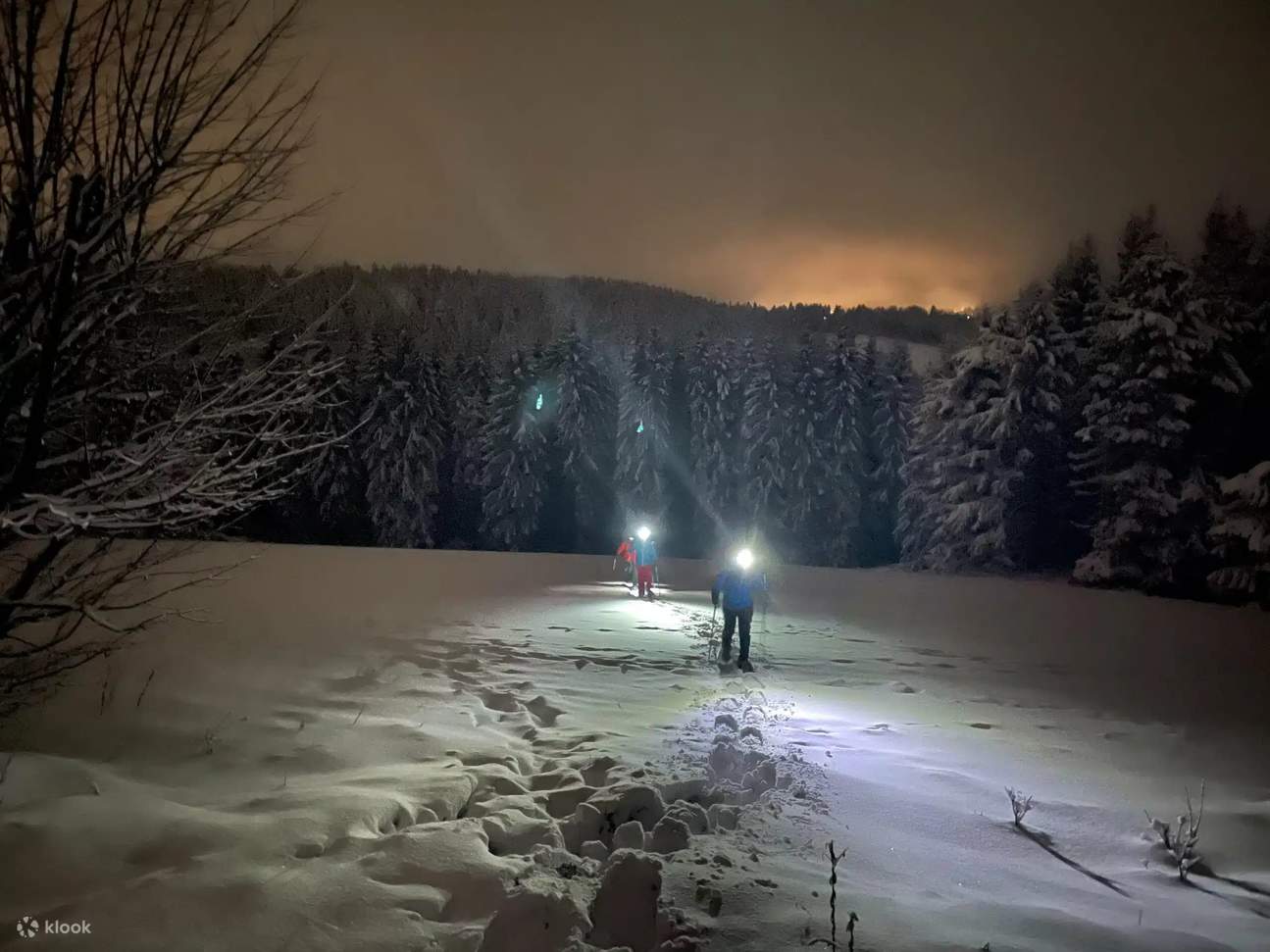 Excursión nocturna con raquetas de nieve