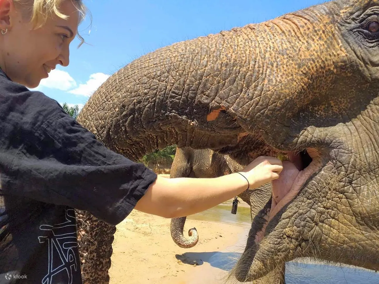 Krabi Elephant Care House