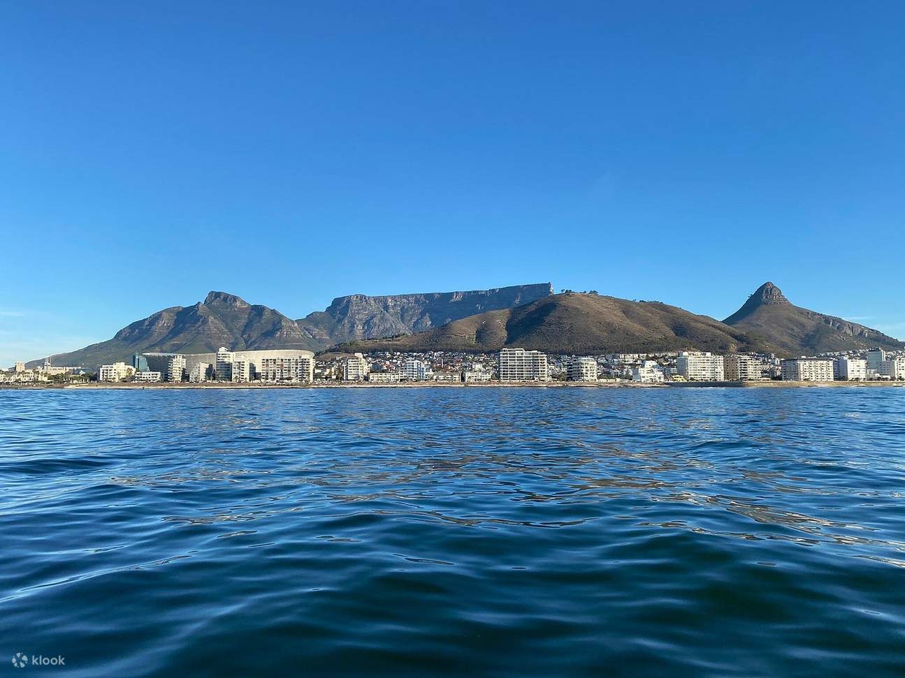 Pertemuan Hidupan Liar Lautan