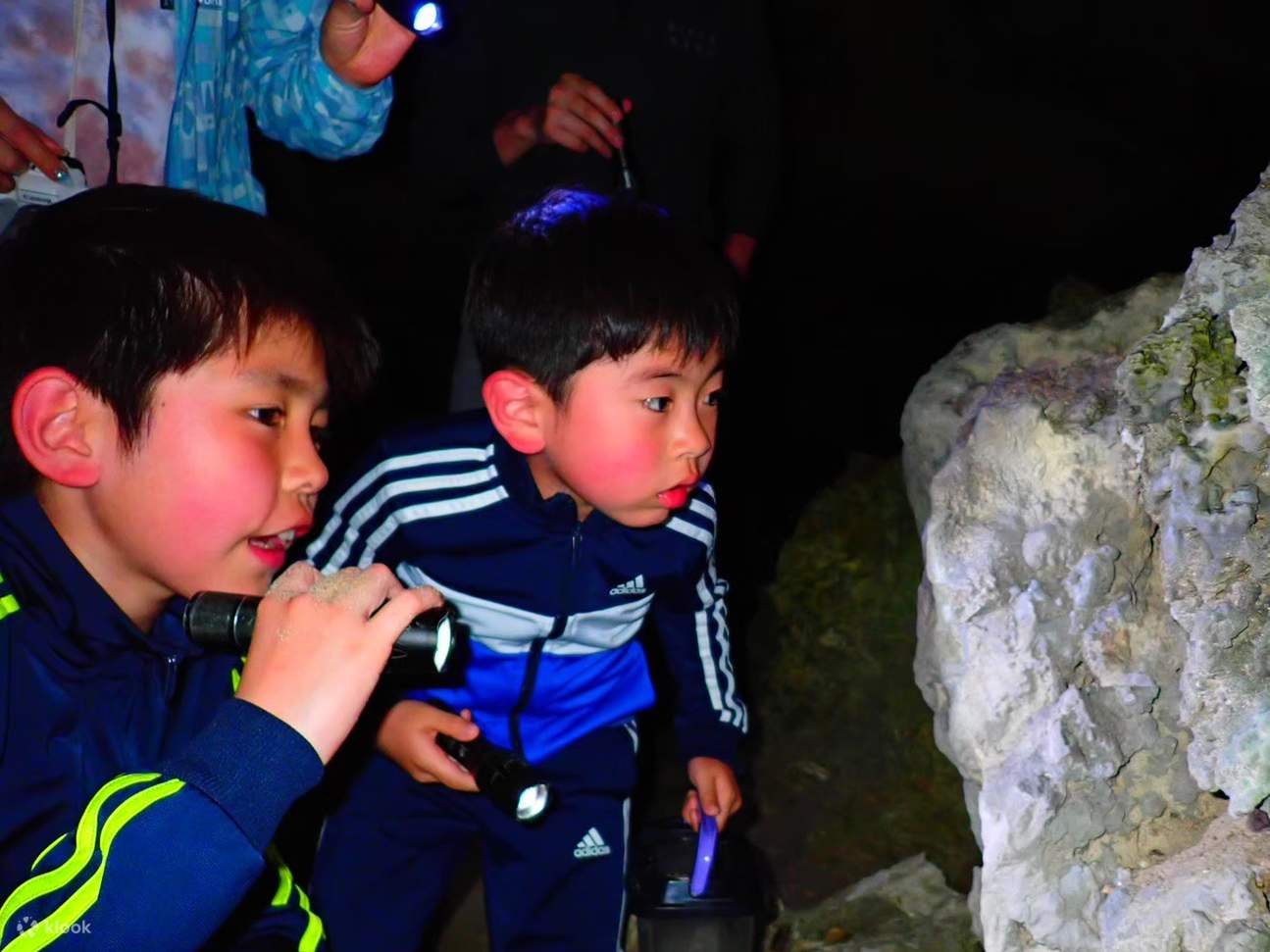 [Ishigaki Island/Night] Stargazing & Jungle Night Tour