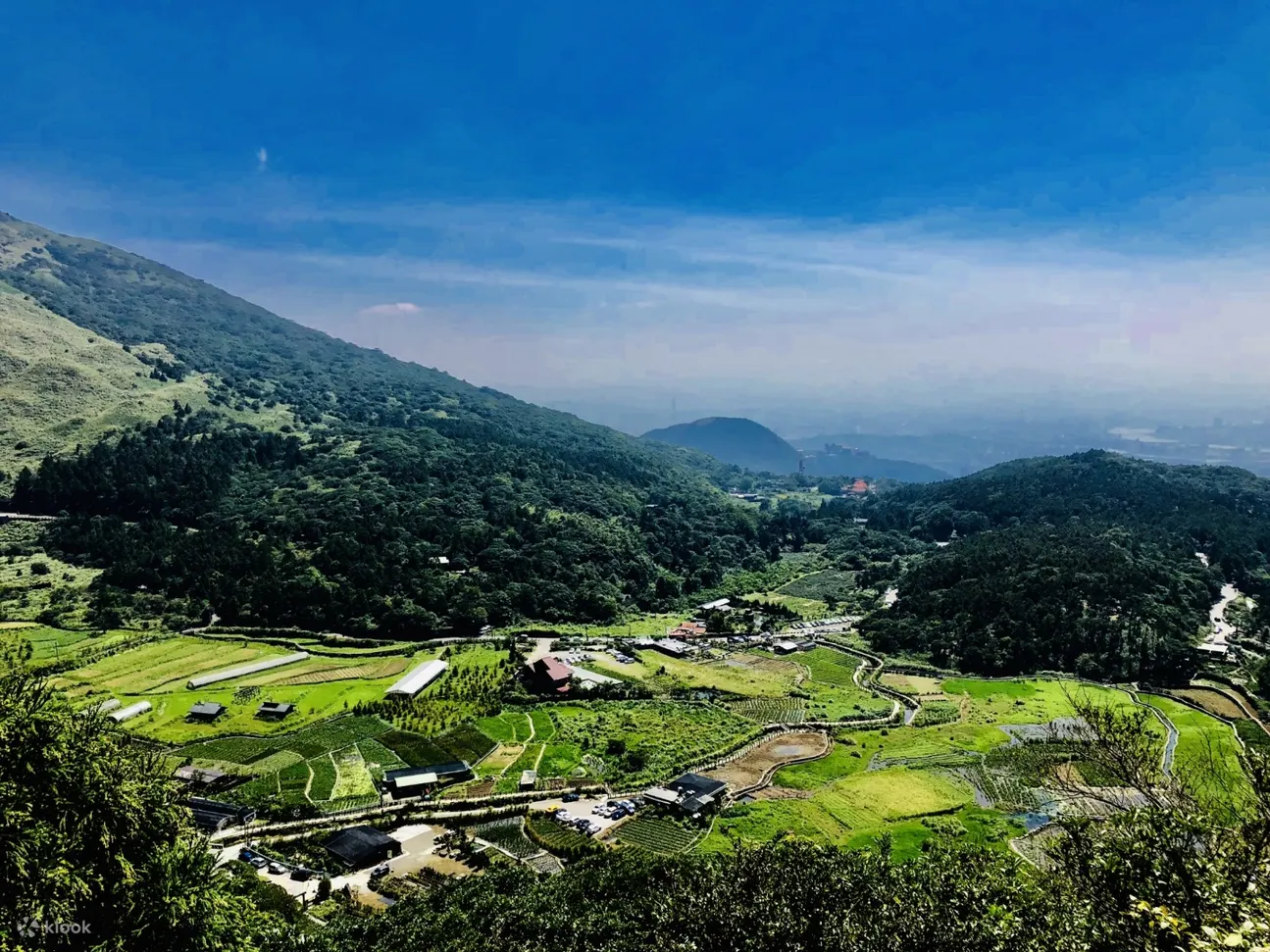 包车游览 阳明山一日游
