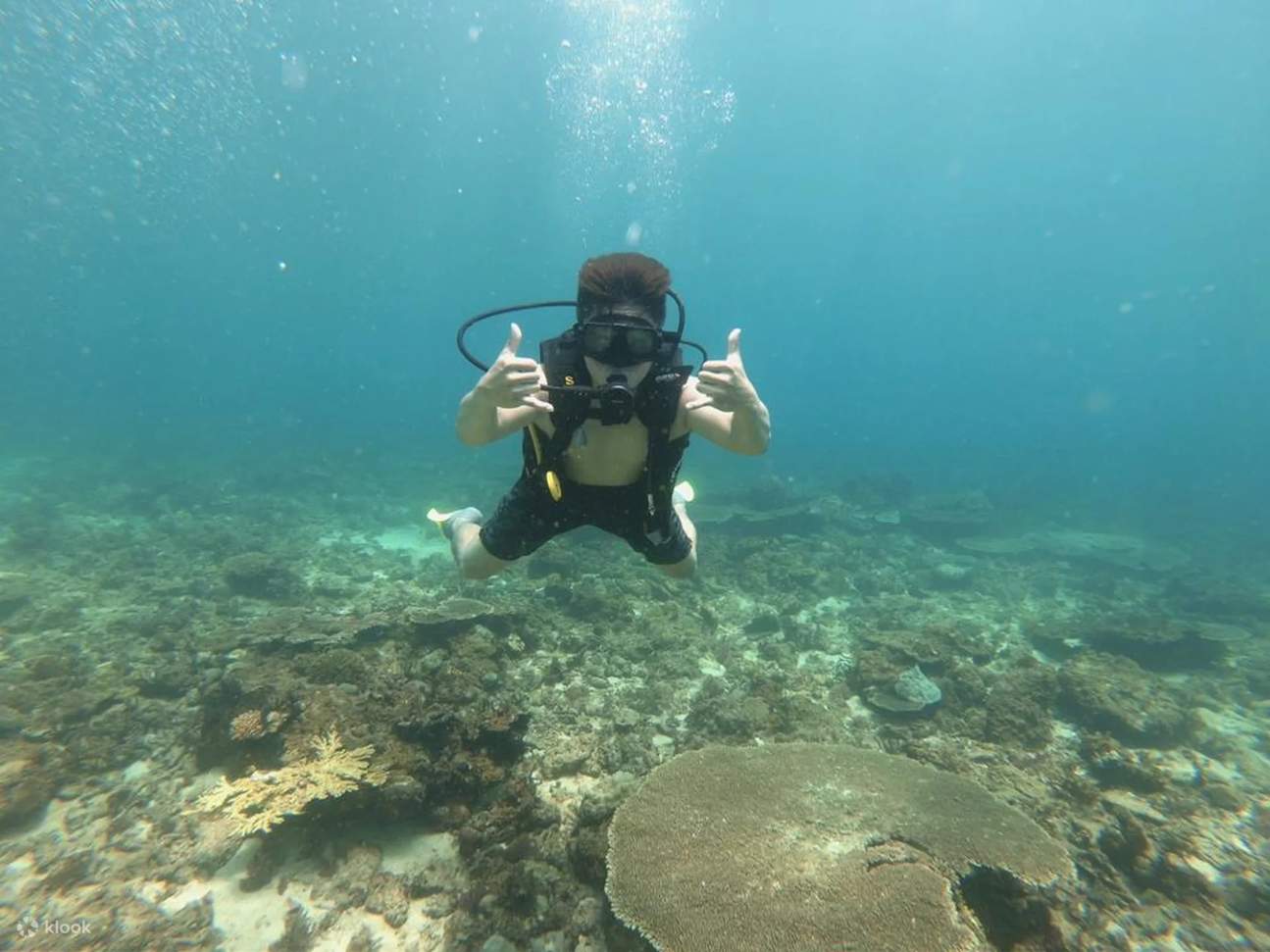 Tauchen Sie ein in die pulsierende Unterwasserwelt von Kota Kinabalu, wo Begegnungen mit farbenfrohen Korallenriffen und exotischen Fischen an jeder Ecke auf Sie warten.