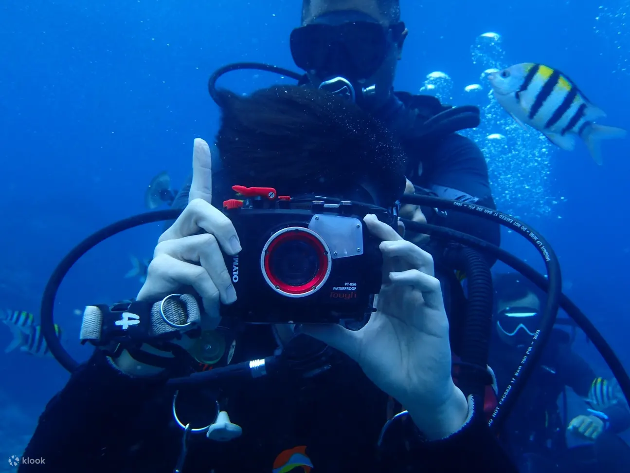 【绿岛】蓝莎潜水中心一对一体验潜水 Discover diving