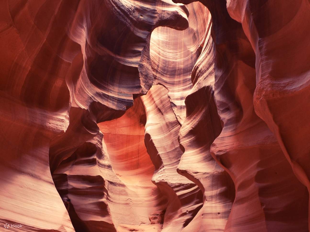 Antelope Canyon, Horseshoe Bend, \u0026 Lake Powell Tour from Arizona - Klook  United Kingdom, image size:1295x971