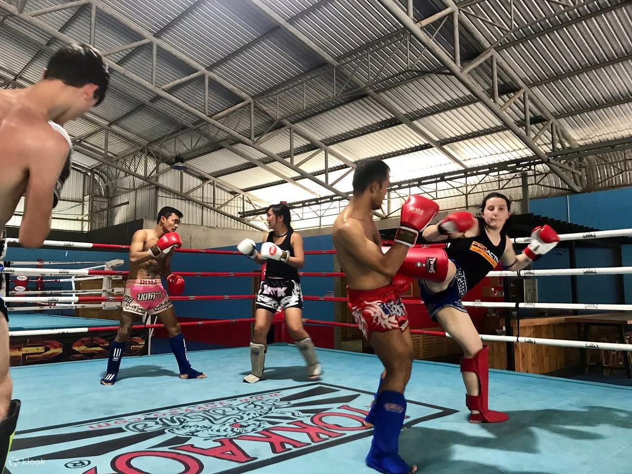 友好的培训氛围