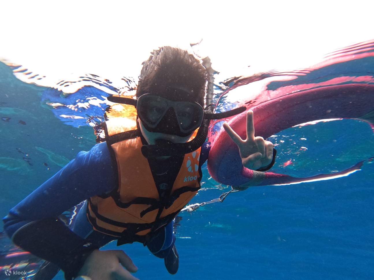 熊潛水 Bear Diving - ประสบการณ์ดำน้ำตื้นที่เสียวหลิวฉิว (พร้อมบริการถ่ายภาพใต้น้ำ)