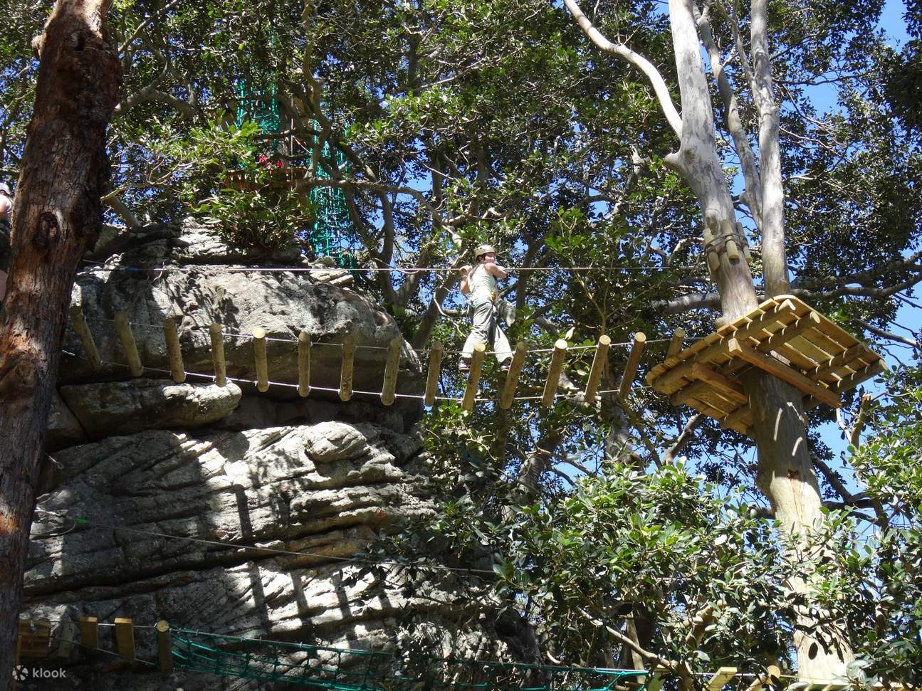 Treetop Climbing and Ziplining