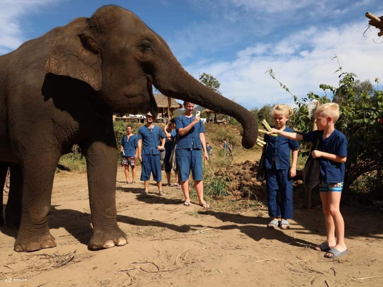 チェンマイ発、リビング・グリーン・エレファント・サンクチュアリー・チョンブリー