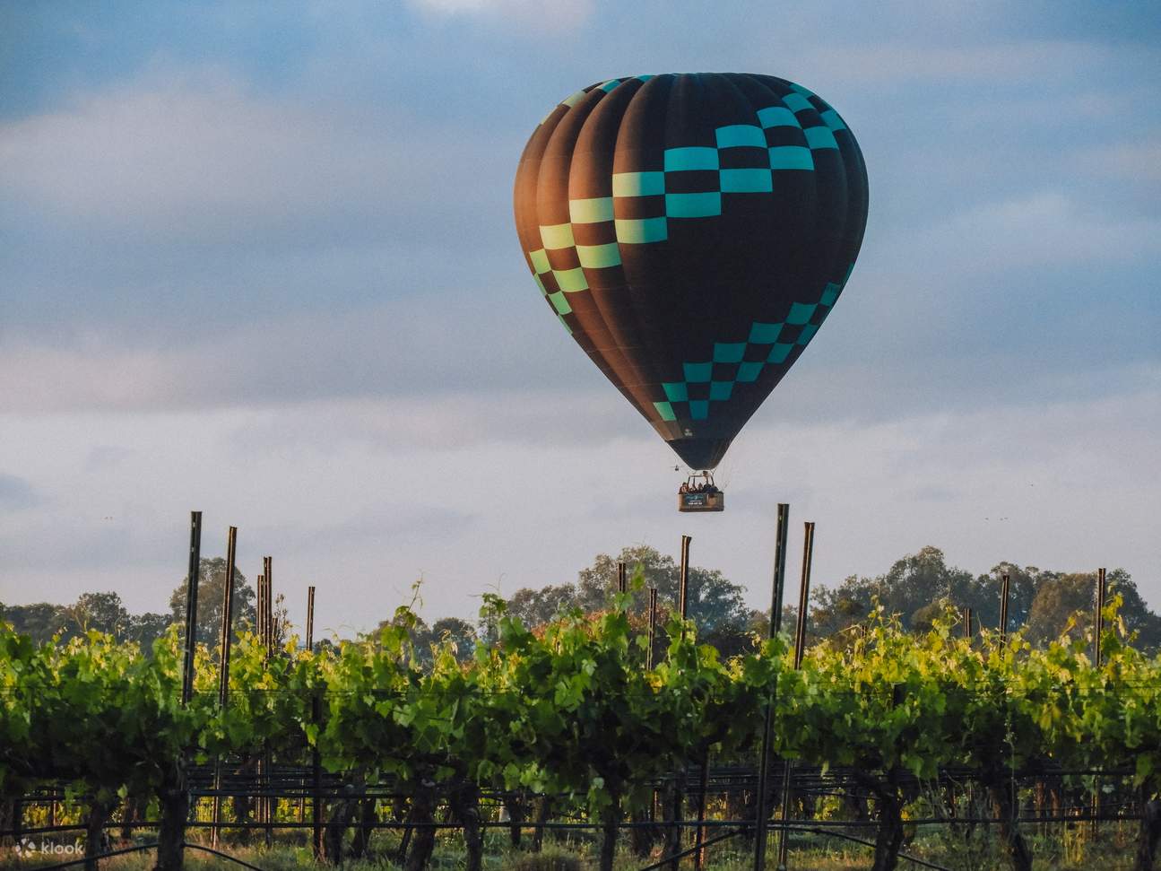 Mongolfiera colorata nella Hunter Valley