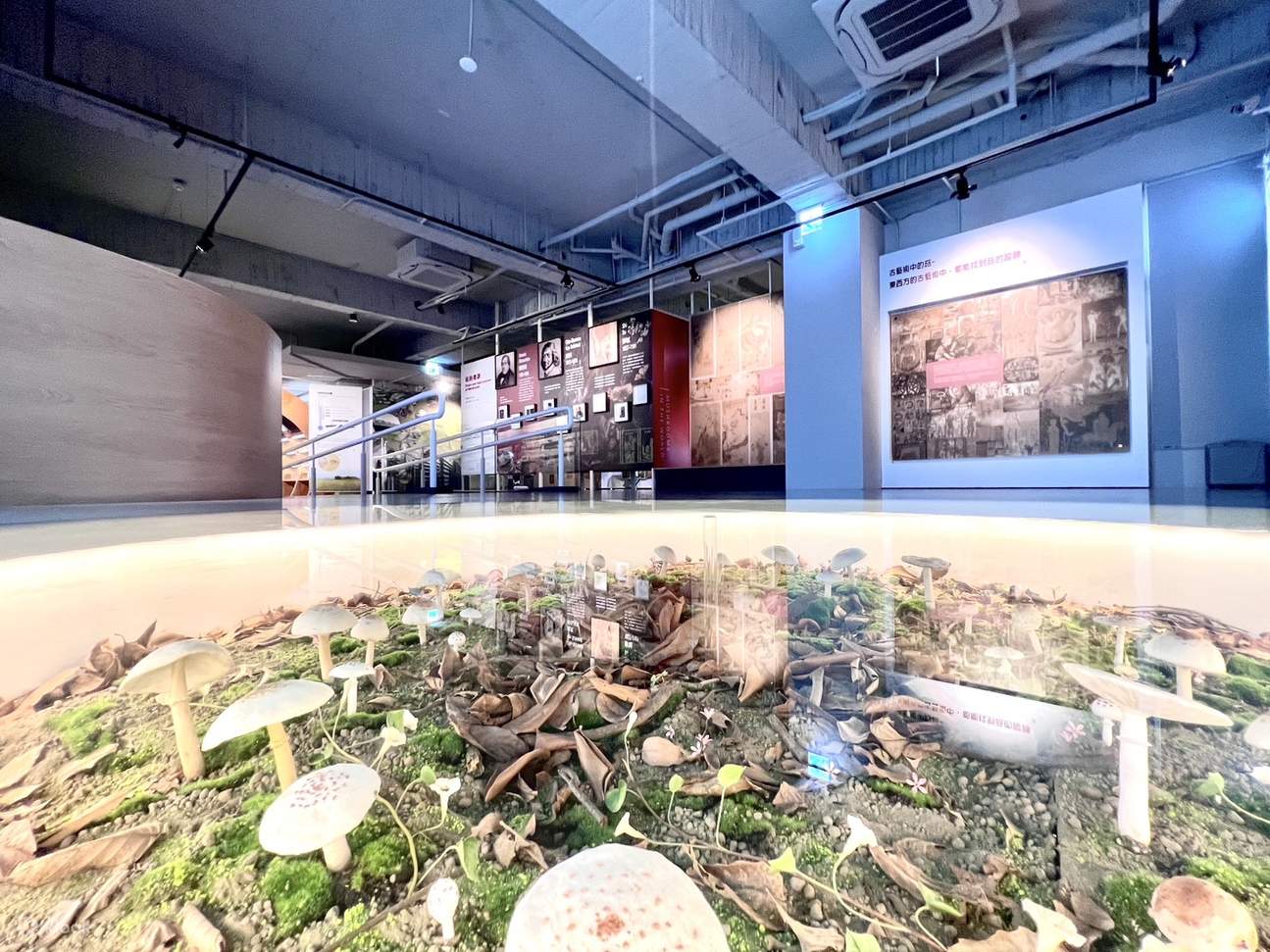 Muzium Industri dan Akademik Cendawan Wufeng